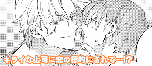 画像サンプル